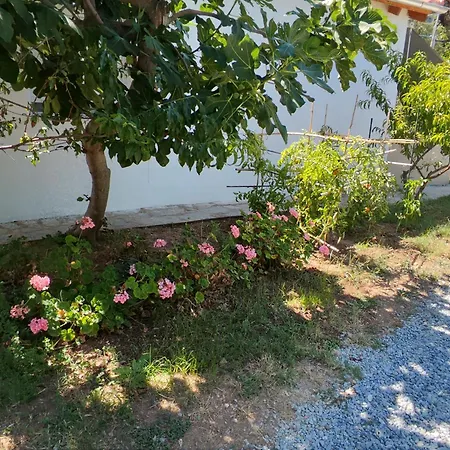 Apartment Koula 2-tomi Potos