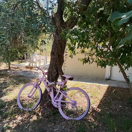 Koula 2-tomi Apartment