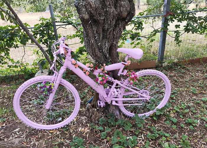 Διαμέρισμα Koula 2-tomi *